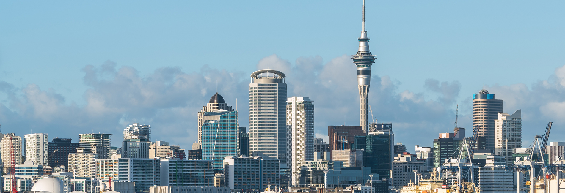 Black and White skyline photo of Auckland City, New Zealand